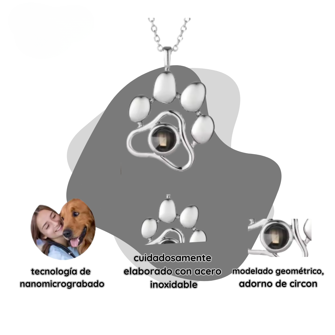Collar De Mascota Personalizado