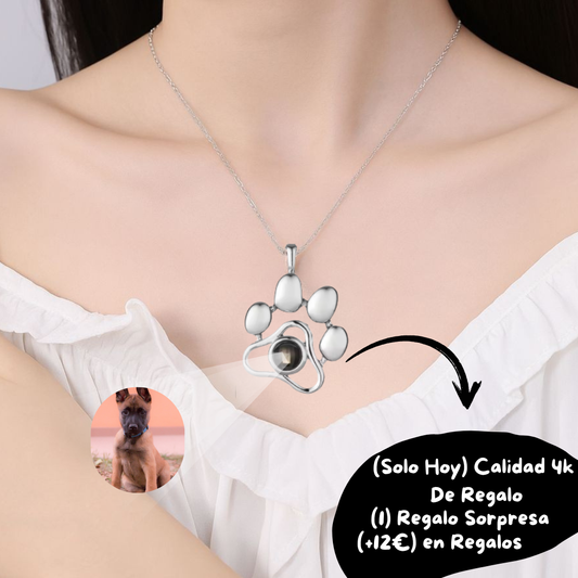 Collar De Mascota Personalizado