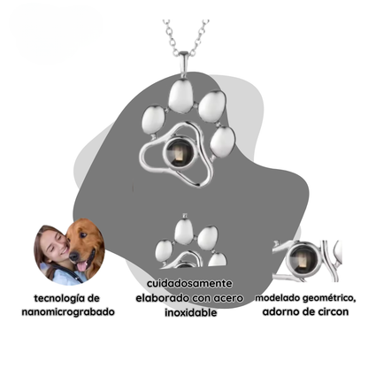 Collar De Mascota Personalizado