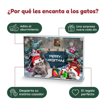 Por qué a los gatos les encanta el calendario de Adviento